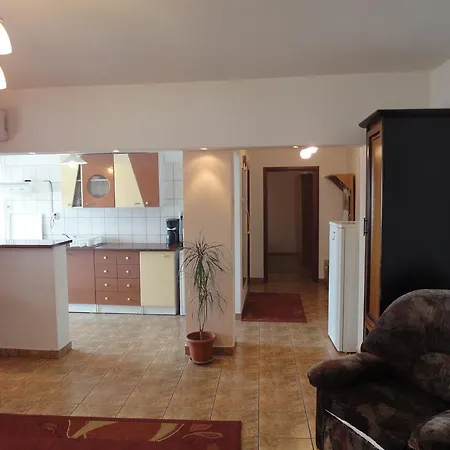 Apartment Confort - Unirii Square *